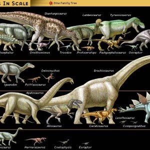 10 Dinosaur Facts and Records 2