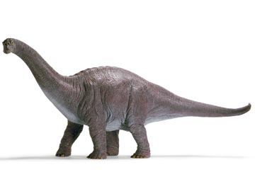 Long Neck Dinosaur - Apatosaurus