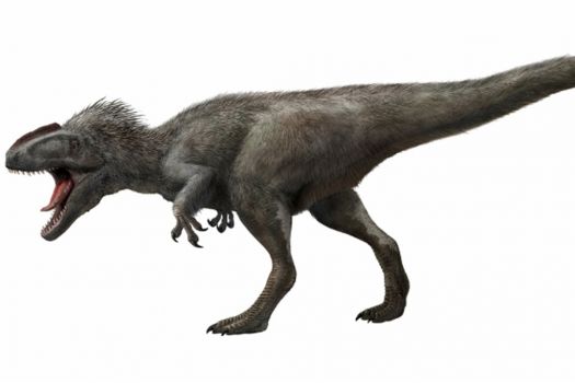 Largest Feathered Dinosaur Discovered, Scaled Dinosaurs Snicker Behind ...