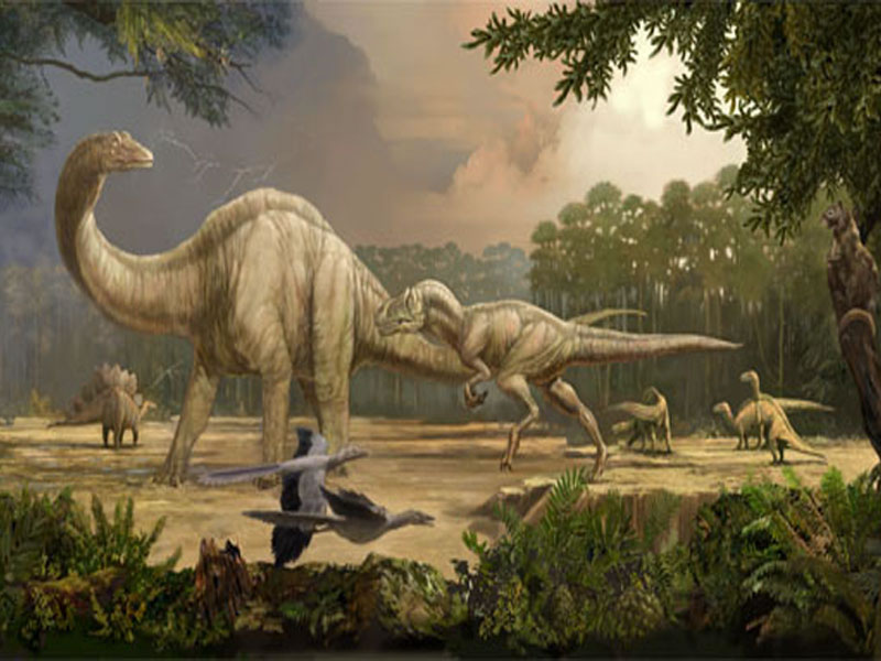 dinosaur wallpaper hd