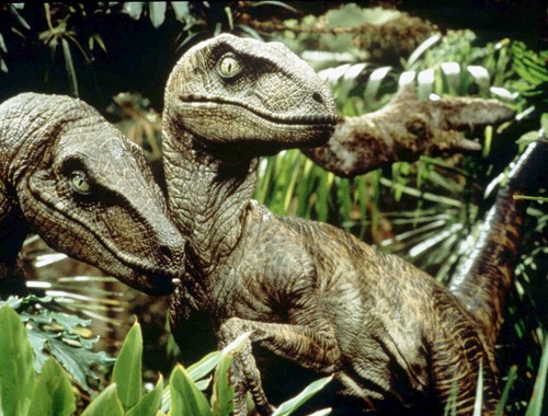 Jurassic Park Dinosaurs - Velociraptors