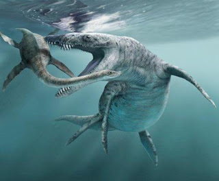 Biggest Pliosaur : Liopleurodon