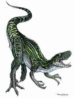 Staurikosaurus Triassic Dinosaur