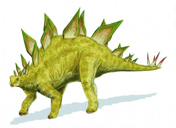 Stegosaurus Facts information