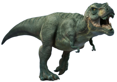 t-rex facts and pictures for kids