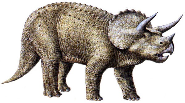 facts about triceratops for kids