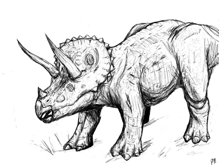 triceratops coloring pages free