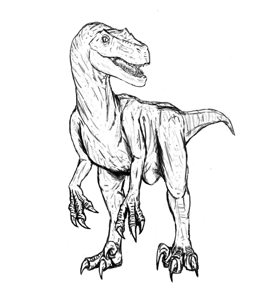 free printable velociraptor coloring pages