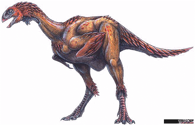 Feathered Dinosaurs - avimimus