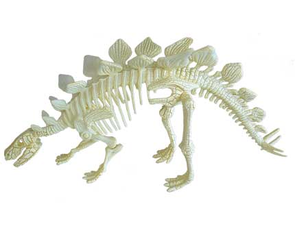  dinosaur bones discovered