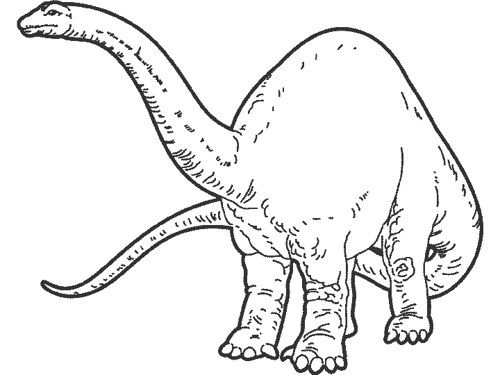 Brachiosaurus - dinosaurs coloring pages
