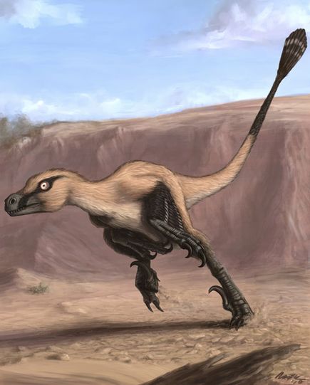 velociraptor facts and pictures