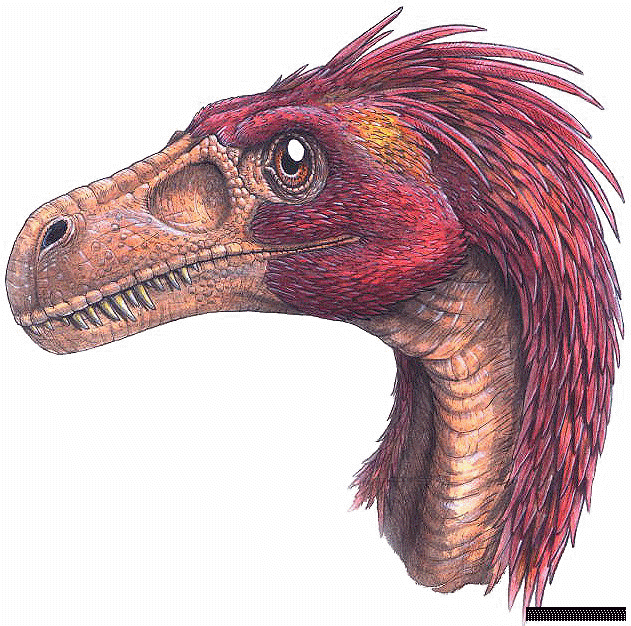 Feathered Dinosaurs - dromaeosaurus