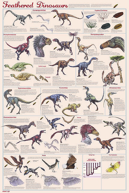 dinosaur facts for adults
