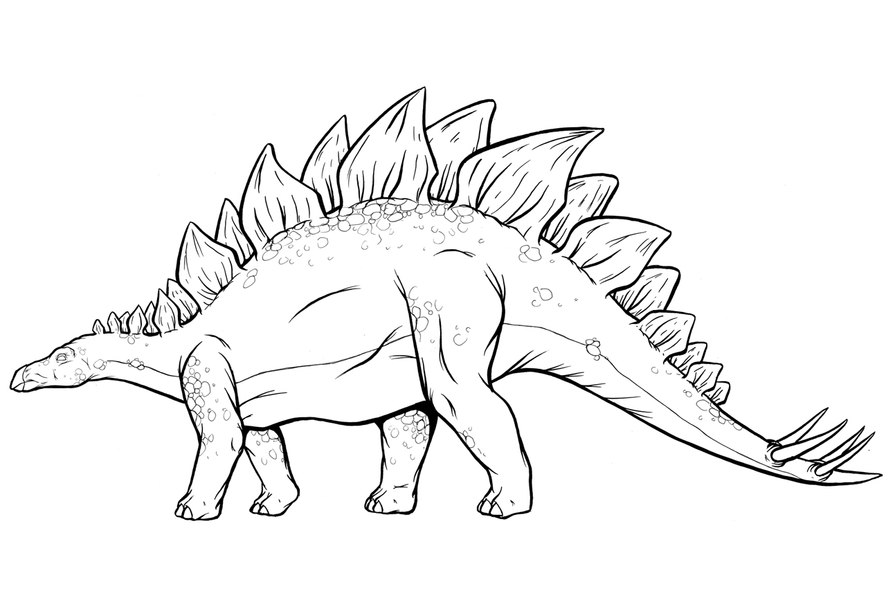 stegosaurus coloring pages kids