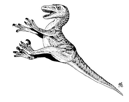 dinosaur coloring pages velociraptor