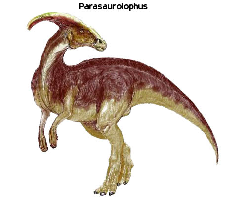 Parasaurolophus Facts for Children
