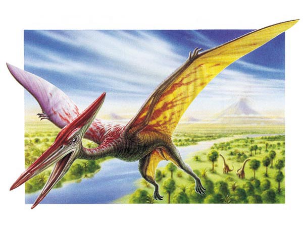 Flying Dinosaurs - Pterodactyl