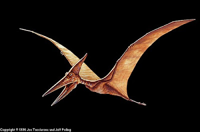  pterodactyl facts for kids