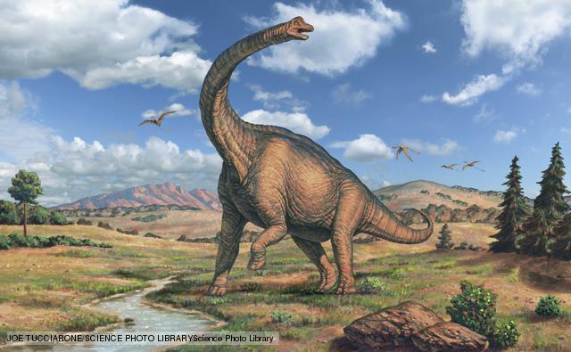 Pictures of Dinosaurs - Sauropods