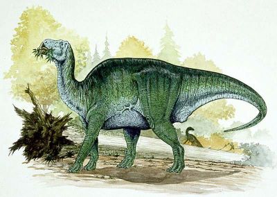 Biggest Hadrosaur : Shantungosaurus