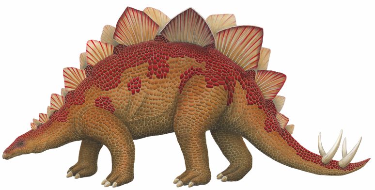 interesting facts stegosaurus