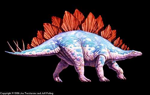interesting facts about stegosaurus