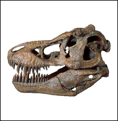 t-rex facts wikipedia
