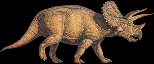 facts about triceratops for children 