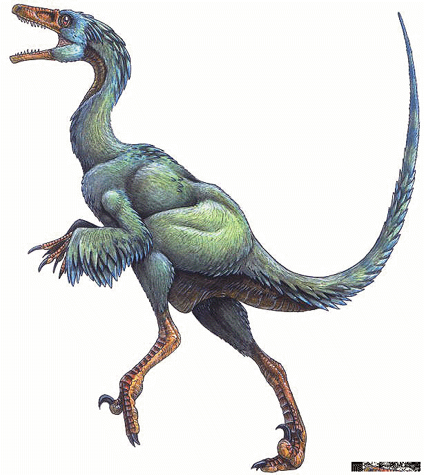 Feathered Dinosaurs - Troodon