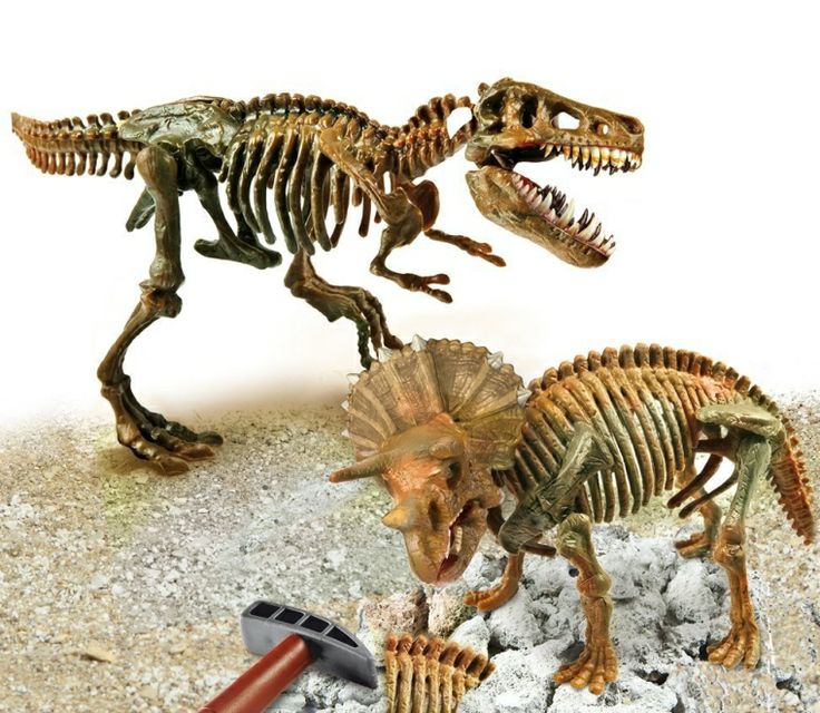 dinosaur skeleton excavation kit