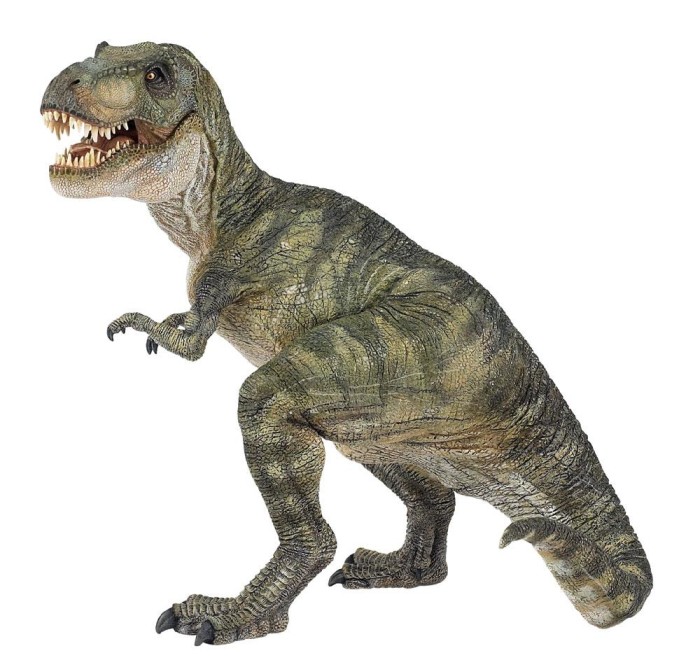 T-Rex Dinosaurs Facts