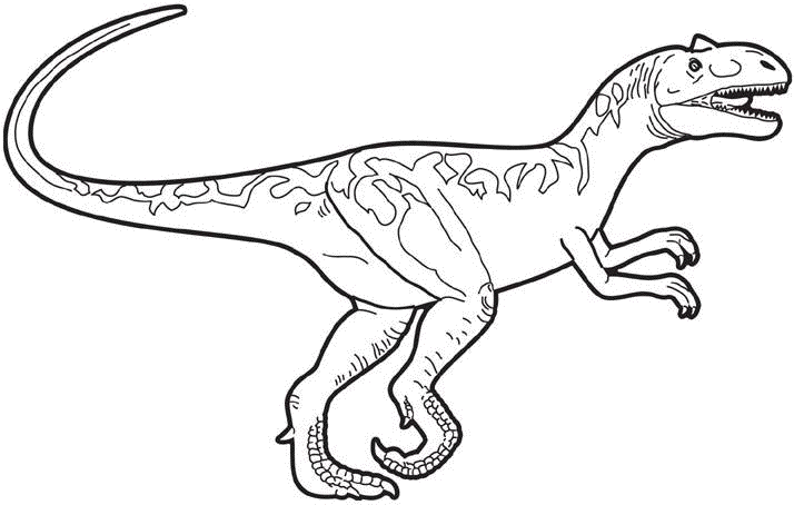 Coloring picture of allosaurus
