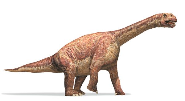 Camarasaurus Facts Sheets