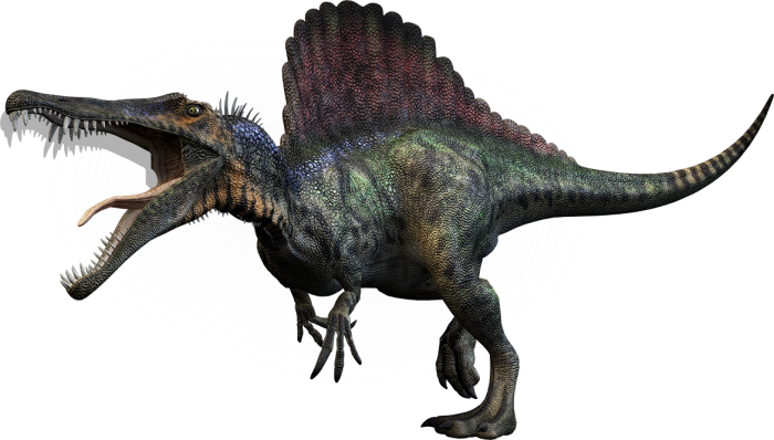 spinosaurus facts information