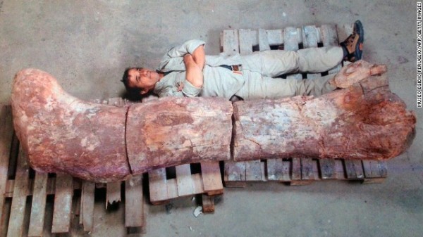 New Dinosaur Discovered : Titanosaurus