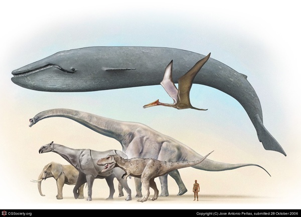 Dinosaurs Scaled to Human