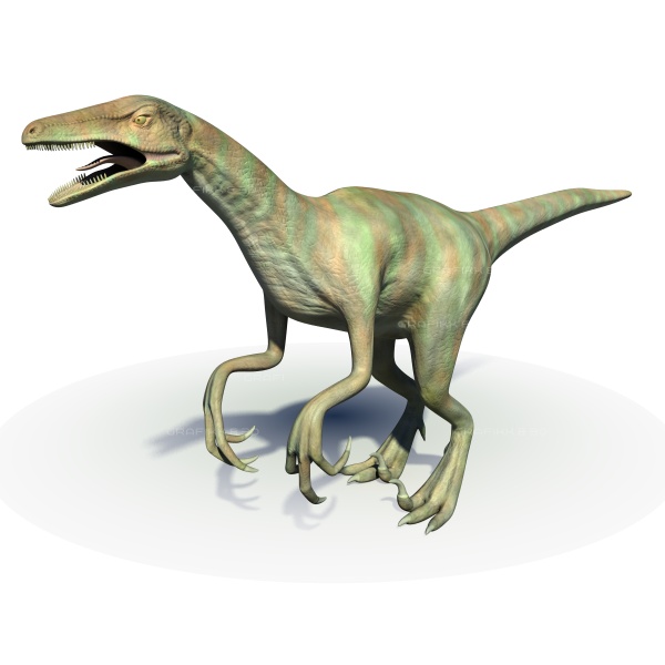 Adasaurus Dinosaurs facts for Kids