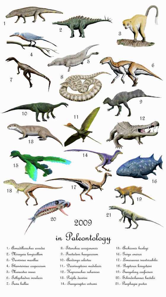 extinct species of dinosaurs