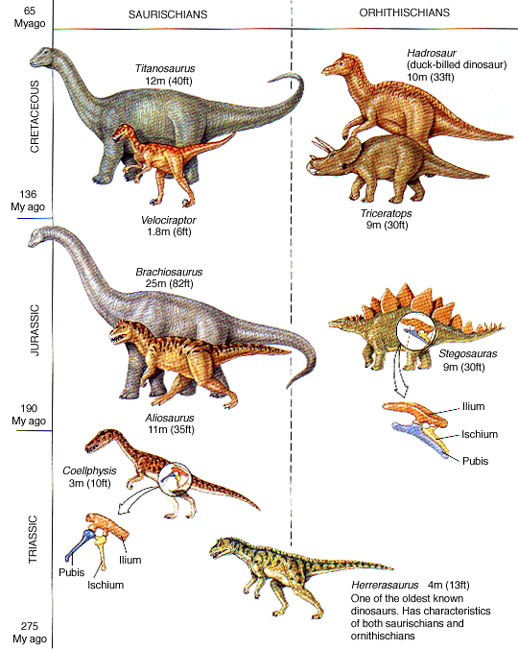 species of dinosaurs list