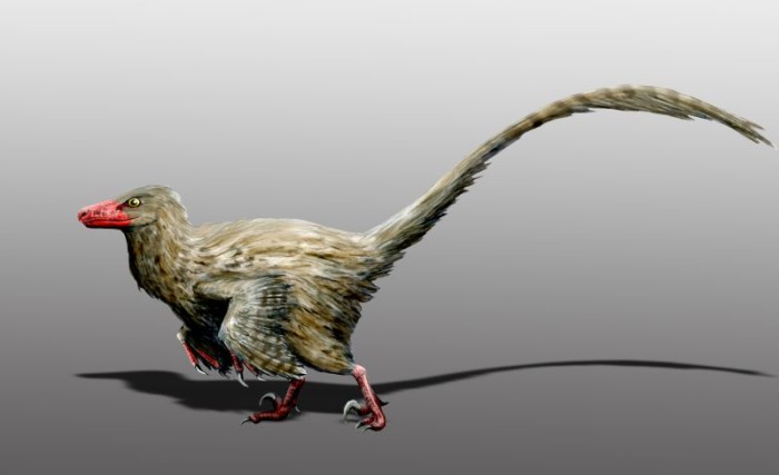 Hesperonychus dinosaur facts