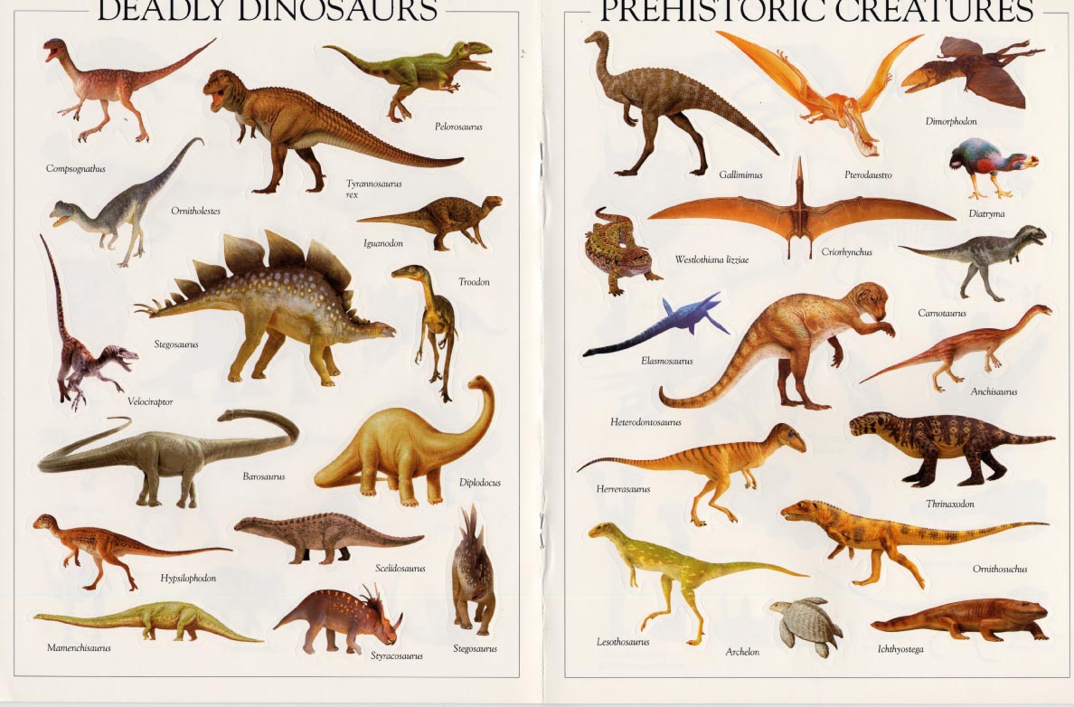 Нептичьи динозавры виды. Динозавры названия. Динозавры картинки с названиями. Виды динозавров с названиями. Название всех динозавров.