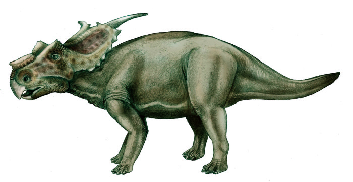 achelousaurus dinosaur king