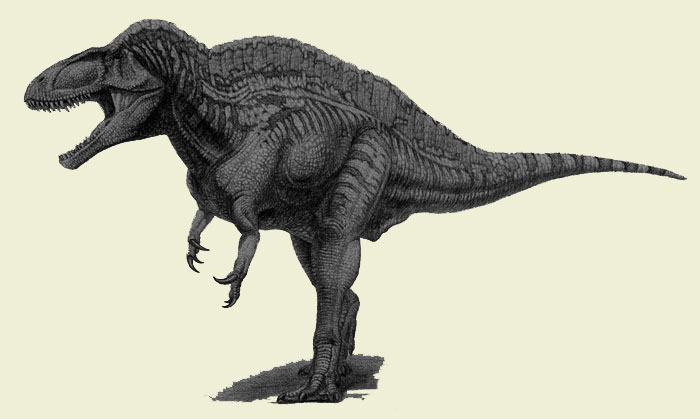 Acrocanthosaurus dinosaur facts