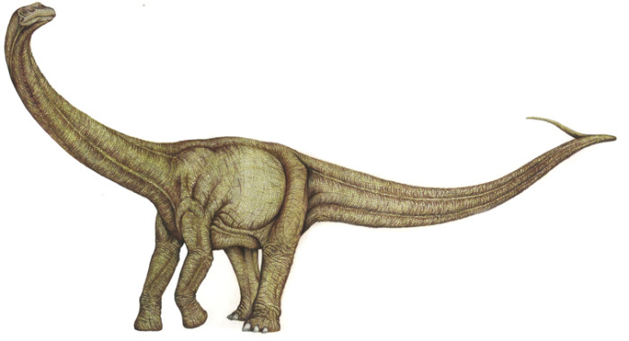 alamosaurus description