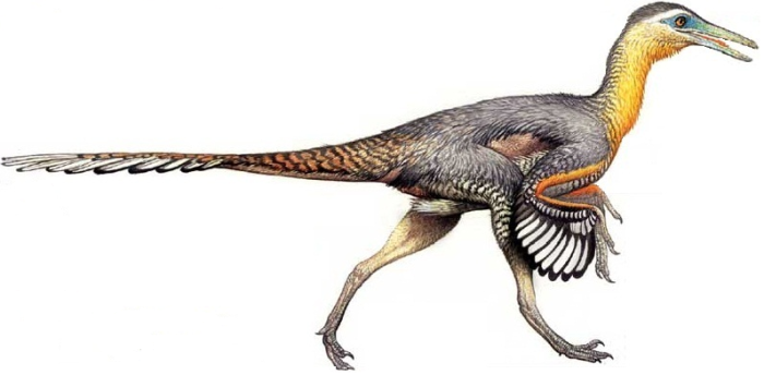Dinosaurs Buitreraptor