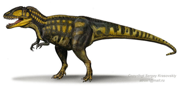 carcharodontosaurus iguidensis