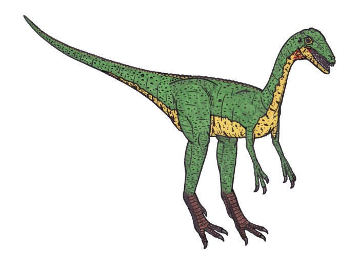 Compsognathus facts for kids