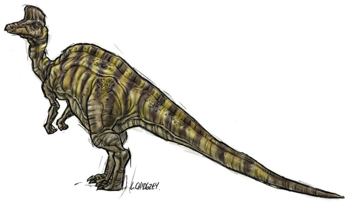 corythosaurus habitat