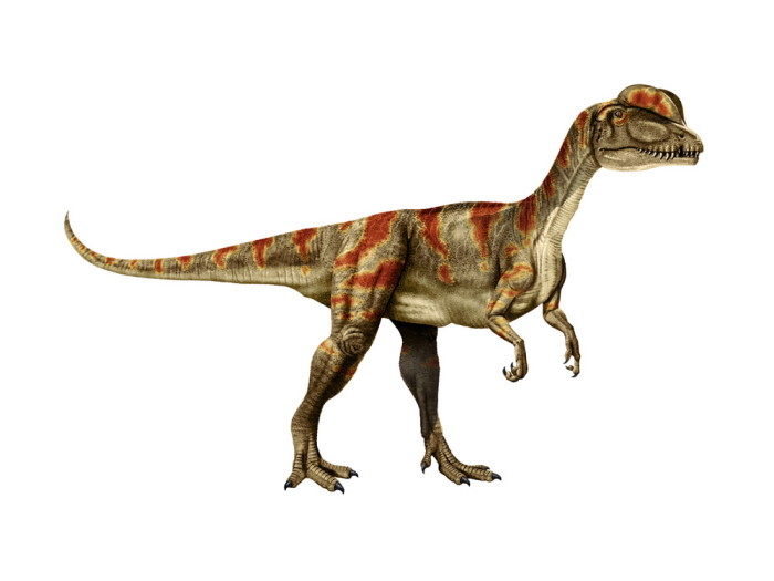 dilophosaurus facts for kids
